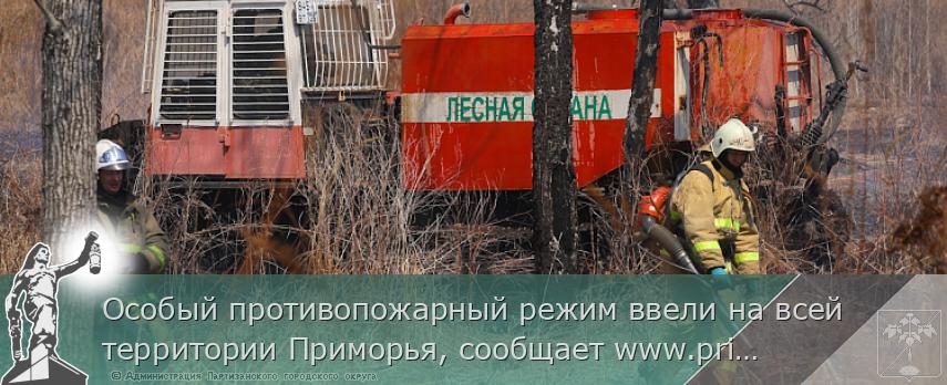 Особый противопожарный режим ввели на всей территории Приморья, сообщает www.primorsky.ru