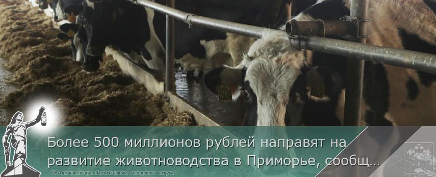 Более 500 миллионов рублей направят на развитие животноводства в Приморье, сообщает www.primorsky.ru